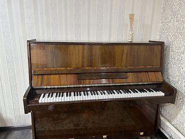 Музыкальные инструменты: Пианино акустическое, вертикальное (upright), корпус с отделкой под — 3