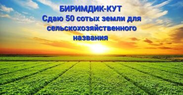 Аренда участков: 50 соток Для сельского хозяйства