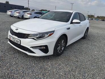 полировачная машина: Kia Optima: 2019 г., 2.4 л, Типтроник, Бензин, Седан