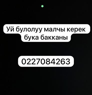 жылкы жаныбар: Уй булолуу малчы керек Бука бакканы бут условиясы менен ыссык суу — 2
