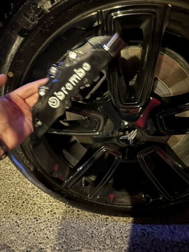 Soyutma və qızdırma sistemləri: BMW Diger, 2024 il, Analoq, Çin, Yeni