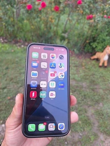 iped mini 6: IPhone 15 Pro Max, 256 GB, Gümüşü, Face ID — 1