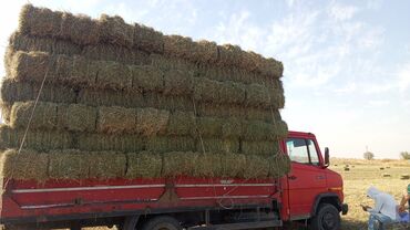объявления о найденных животных: Сено в тюках (прямоугольные кипы) - Упаковано в плотные прямоугольные