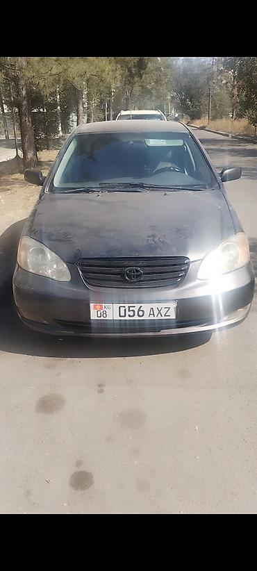 Toyota Corolla: 2003 г., 1.8 л, Автомат, Бензин, Седан at lalafo.kg Toyota Corolla: 2003 г., 1.8 л, Автомат, Бензин, Седан