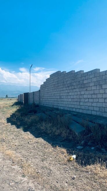 Сельхоз предприятия: Продаю Кошара, 41 соток, Действующий, Холодная вода, Электричество — 4