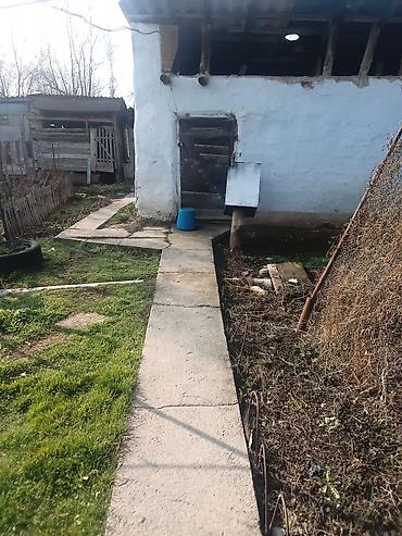 Продажа коттеджей и домов: Продается частный дом с приусадебным участком. Описание: - Участок с — 2