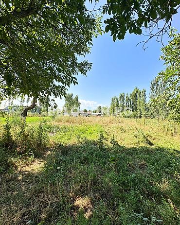 Үйлөр: 🏠Продается дом в с. Беловодское Верхняя зона, до трассы - 800м Хорошая — 4