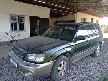 Subaru: Subaru Forester: 2003 г., 2 л, Автомат, Бензин, Универсал — 1