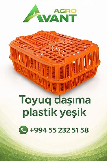 yorga at satilir: Digər kənd təsərrüfatı heyvanları — 1