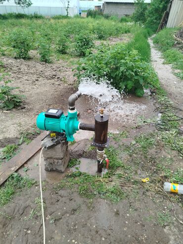 розы садовые: Бурим скважину Центробежный водяной насос