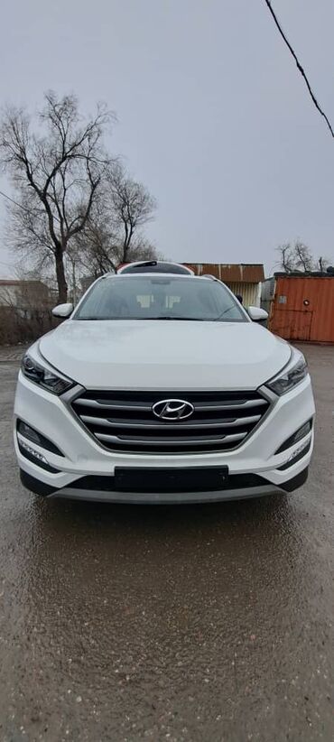 Hyundai: Hyundai Tucson: 2018 г., 2 л, Автомат, Дизель