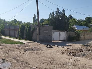 Кыймылсыз мүлк: 4 соток, Кызыл китеп — 2