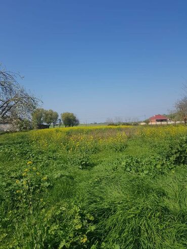 xırdalanda torpaq satılır: 5 otaqlı, 251 kv. m, Kredit yoxdur, Təmirsiz