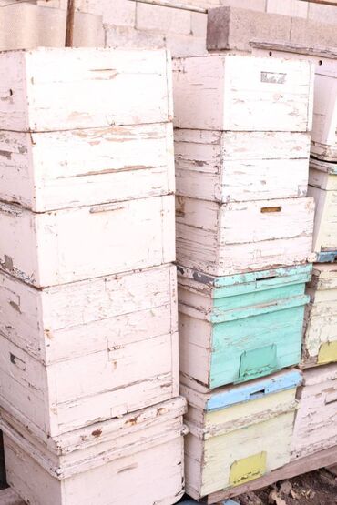 Товары и оборудование для с/х животных: Ульи около 45 комплектов. Рутовская система, корпусные, пригодны для — 14