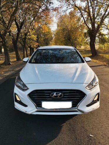 hyundai машина: Hyundai Sonata: 2019 г., 2 л, Автомат, Газ, Седан