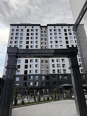 амир: 1 комната, 54 м² — 4
