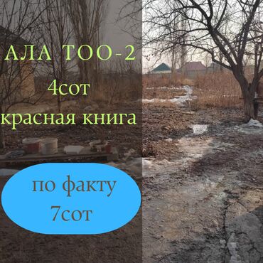 участок жм ак тилек: 4 соток, Курулуш, Кызыл китеп