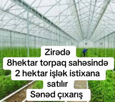 дачный земельный участок: 8 sot, Kənd təsərrüfatı, Kupça (Çıxarış)