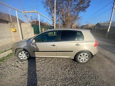 Volkswagen: Volkswagen Golf: 2004 г., 1.6 л, Ручные, Бензин, Хэтчбэк — 3