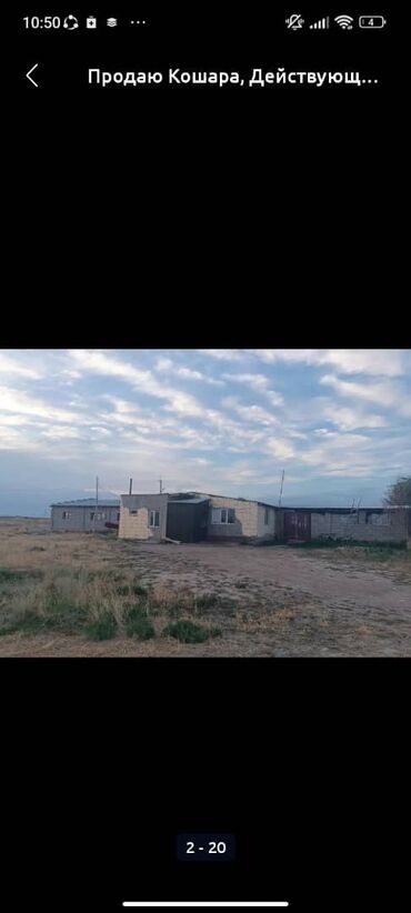 Сельхоз предприятия: Продаю Кошара, 50 соток, Действующий, Частично с оборудованием, Электричество, Канализация, Отопление at lalafo.kg — 3 Сельхоз предприятия: Продаю Кошара, 50 соток, Действующий, Частично с оборудованием, Электричество, Канализация, Отопление — 3