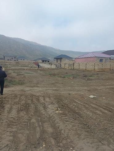 Torpaq: 8 sot, Tikinti, Maklerlər narahat etməsin, Kupça (Çıxarış) — 6