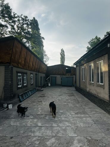 Продажа домов: Дом, 67 м², 4 комнаты, Собственник, Косметический ремонт — 3