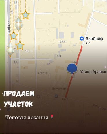анар бак участок: 6 соток, Красная книга