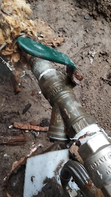 Другие животные: Тай сатылат жашы 1.жаш баасы 100.миң — 10