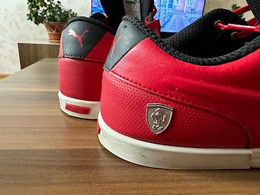 puma krasofka: Puma Ferrari original krasovkası ideal veziyyetde … Razmer 43 Ciddi — 1