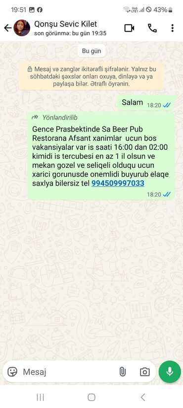 Digər ixtisaslar: Gəncə prospektində yerləşən Sa Beer Pub restoranına Afsant xanımlar