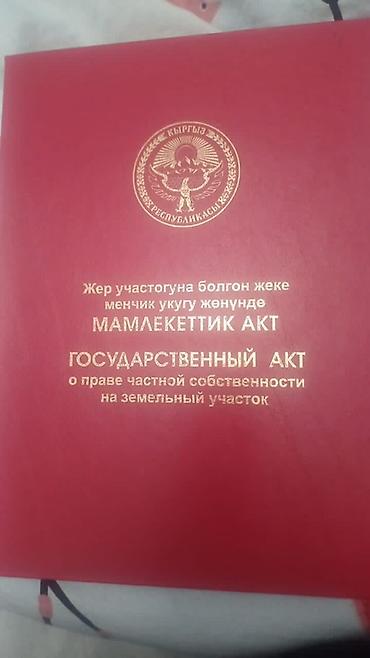чекиш ата мтф: 19 соток, Красная книга — 1