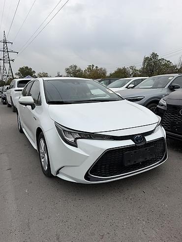 Toyota: Toyota Levin: 2020 г., 1.8 л, Автомат, Гибрид, Седан — 2