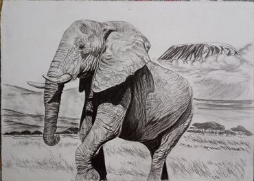 Ostali predmeti za umetnost i kolekcionarstvo: Prodaja crteza,svih dvanaest komada po navedenoj ceni. Angelina samo — 2