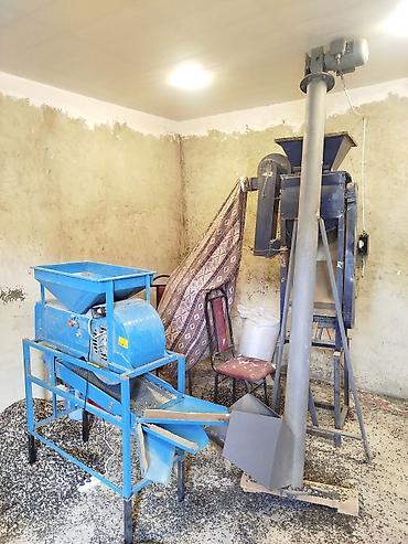 Kənd təsərrüfatı avadanlığı: Günəbaxan tumunun təmizlənməsi və seçilməsi üçün tam avadanlıq — 1