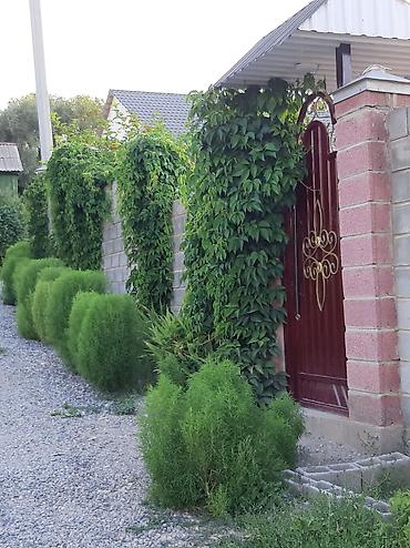 Продажа дач: Меняем благо устроенную дачу ( Бишкек ) - вариант для тех кто хочет — 2