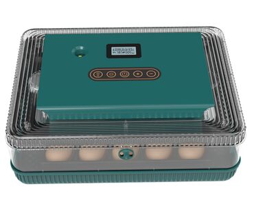 черная британская кошка: Инкубатор для 25 яиц ZC25 1)Выбирайте свежие оплодотворенные