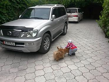 Продажа домов: Дом, 100 м², 4 комнаты, Агентство недвижимости, Евроремонт — 2