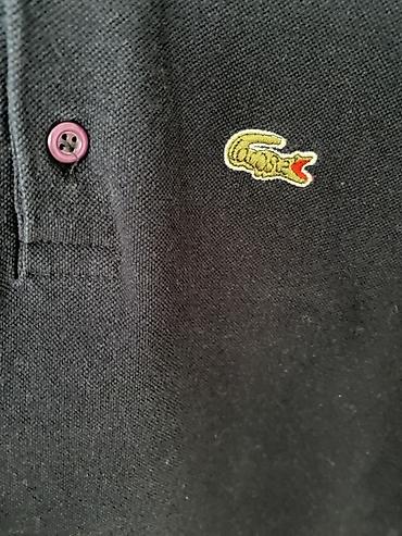 ca sakoi: Lacoste muška polo majica, tamnoplava. - Model: klasična Lacoste polo — 2