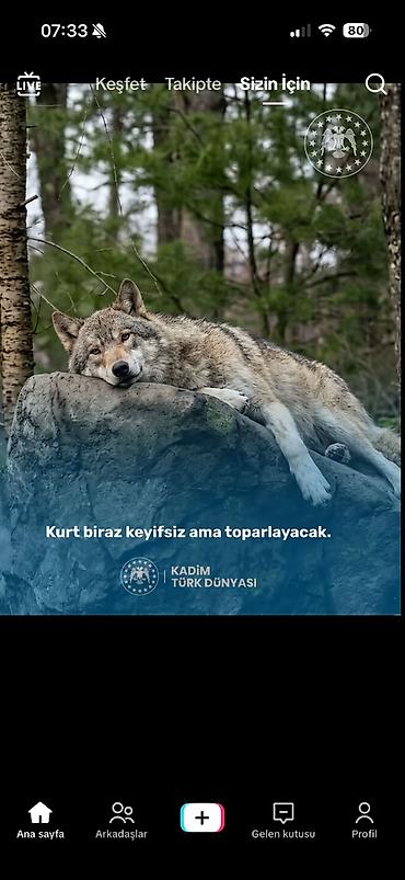 Работа: Официант требуется — 1