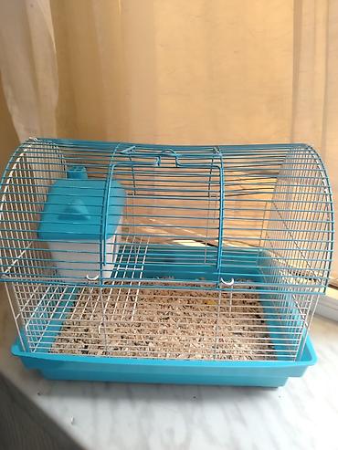 Kiçik heyvan qəfəsi – hamster, siçan və ya digər gəmiricilər üçün. -