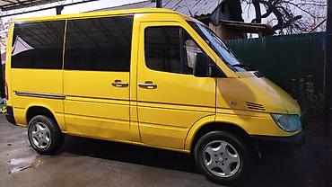 Транспорт ижарасы: Mercedes-Benz Sprinter - Кузов: короткая база, 4 двери сбоку/сзади — 2