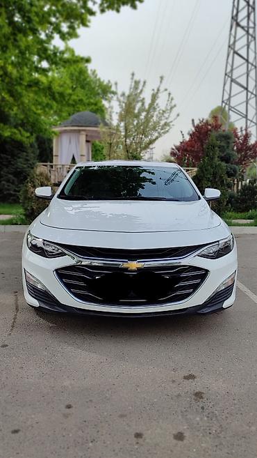 spark 2017: Chevrolet Malibu: 2019 г., 1.3 л, Автомат, Бензин, Седан — 5