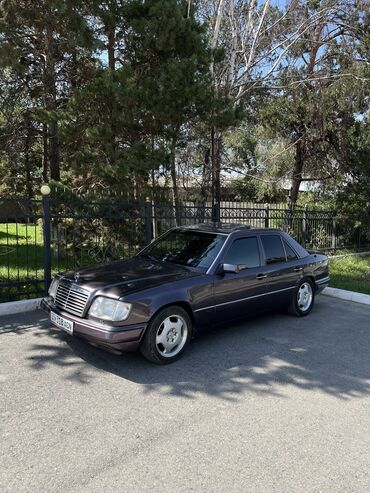 Mercedes-Benz: Mercedes-Benz W124: 1994 г., 3.2 л, Автомат, Бензин, Седан