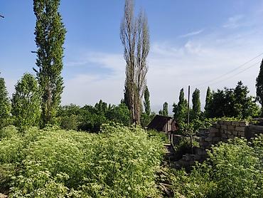 bina.az english: 3 otaqlı, 100 kv. m, Təmirsiz — 2