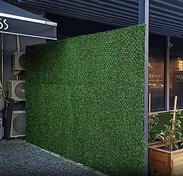 kələm gülü: 🌿 Yaşıl Hasar – Təbii Görünüş, Uzunömürlü Keyfiyyət! 🌿 🏗 Paslanmaz — 2