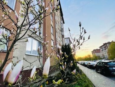 дом ивановка: 1 комната, Риэлтор