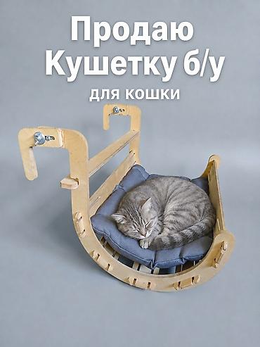 ат арзан: Продаю Лежанку для кошки б/у. Деревянная с подушкой. Можно вешать или — 1
