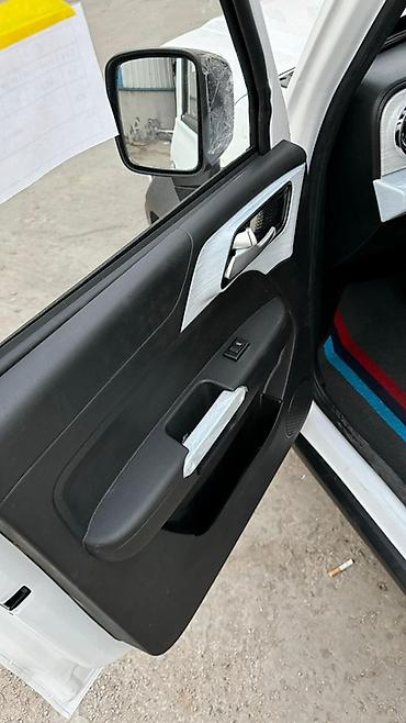 Microcar: Microcar : 2026 г., Электромобиль, Внедорожник — 10