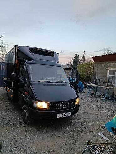 скутар макси: Mercedes-Benz Sprinter — рефрижераторный фургон - Марка/модель — 2