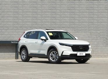 honda crv белый: Honda CR-V: 2023 г., 1.5 л, Автомат, Бензин, Кроссовер